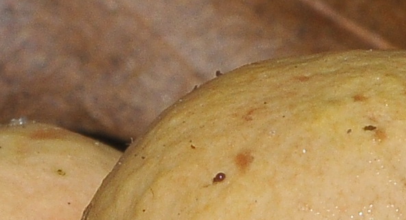 Quiz di San Valentino....